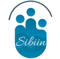 Sibiin